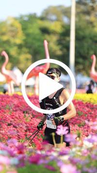 BIB:  <button type="button" onclick="openModal(27583319)" class="btn btn-primary btn-sm float-right" data-toggle="modal" data-target=".modal-high-quality">
                <i class="fa fa-download"></i> Download
                </button>